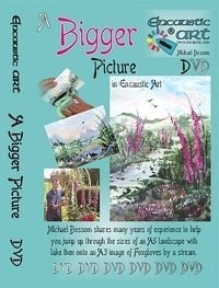 DVD " A bigger picture"`