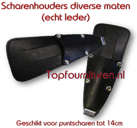 Scharenhouder puntscharen