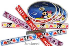 Disney lint per meter