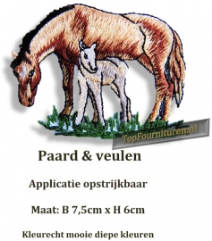 Paard met veulen (A002)