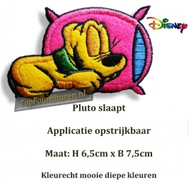 Pluto op zijn kussentje