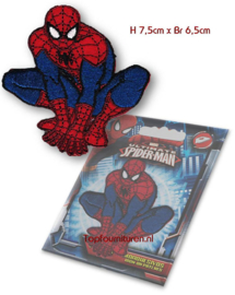 Spiderman applicatie