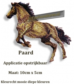 Paard