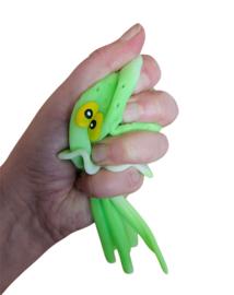 Zwembad Octopus