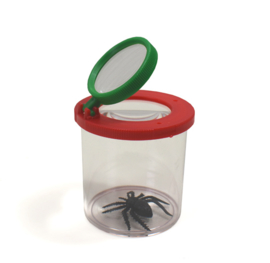 Insectenpotje met Spin