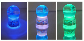 Schudbol met Dolfijn