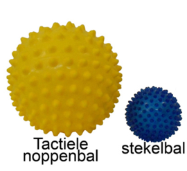 Edushape Tactiele StekeltjesBal