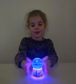 Schudbol met Dolfijn