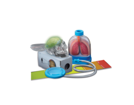 4M KidzLabs - Menselijke Organen