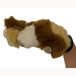 Handschoenpop Cavia