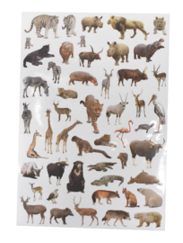 Wilde-Dieren Stickers