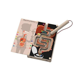 4M KidzLabs - Spijsvertering