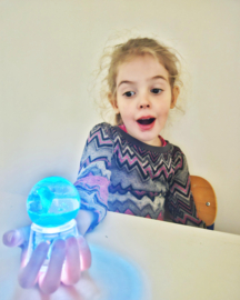 Schudbol met Dolfijn