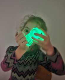 Schudbol met Dolfijn