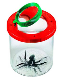 Insectenpotje met Spin