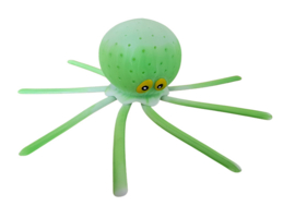 Zwembad Octopus