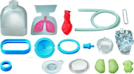 4M KidzLabs - Menselijke Organen
