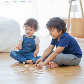 Plantoys Olifanten Spel