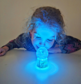 Schudbol met Dolfijn