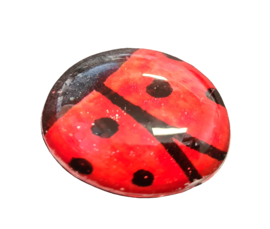 Cabochon 25mm