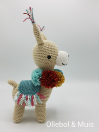 Alpaca Marcia