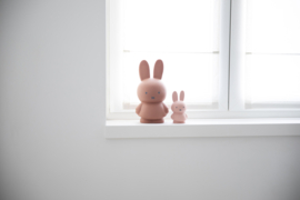 Miffy money box small