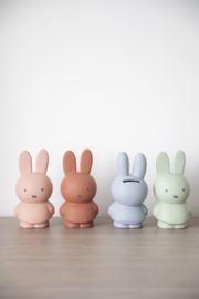 Miffy Spardose small