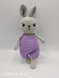 Spring the Bunny