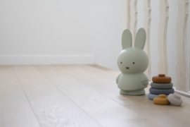 Miffy money box small