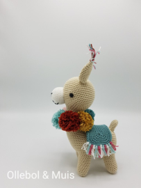 Alpaca Marcia