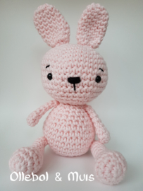 Pink Rabbit