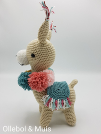 Alpaca Marcia