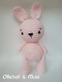 Pink Rabbit