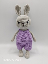 Spring the Bunny