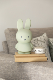 Miffy money box