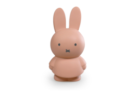 Miffy money box small