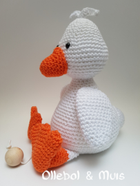 Music bird duck