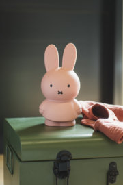 Miffy money box