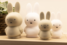 Miffy money box