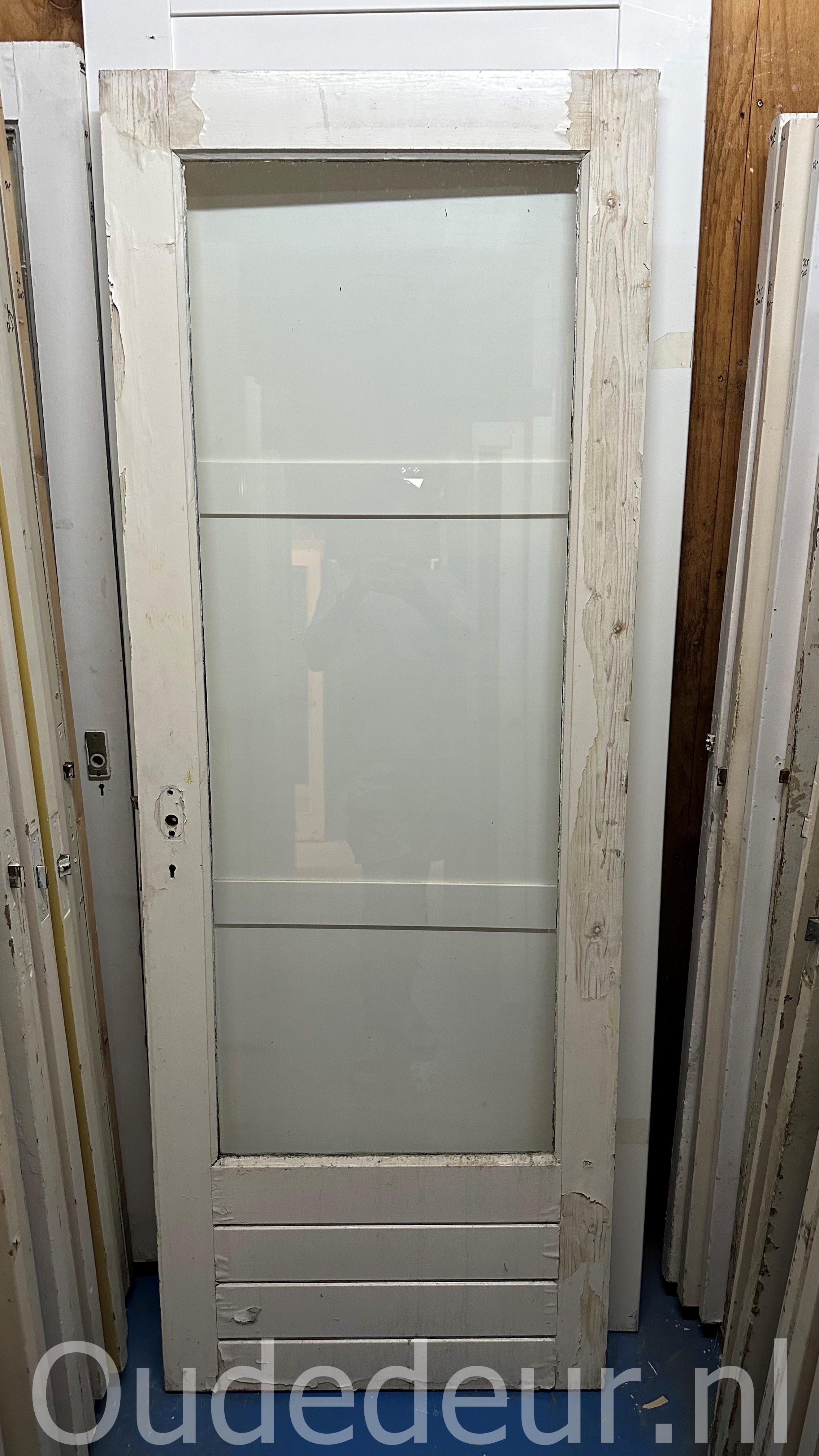 nr. 2754 deur met enkel blank glas