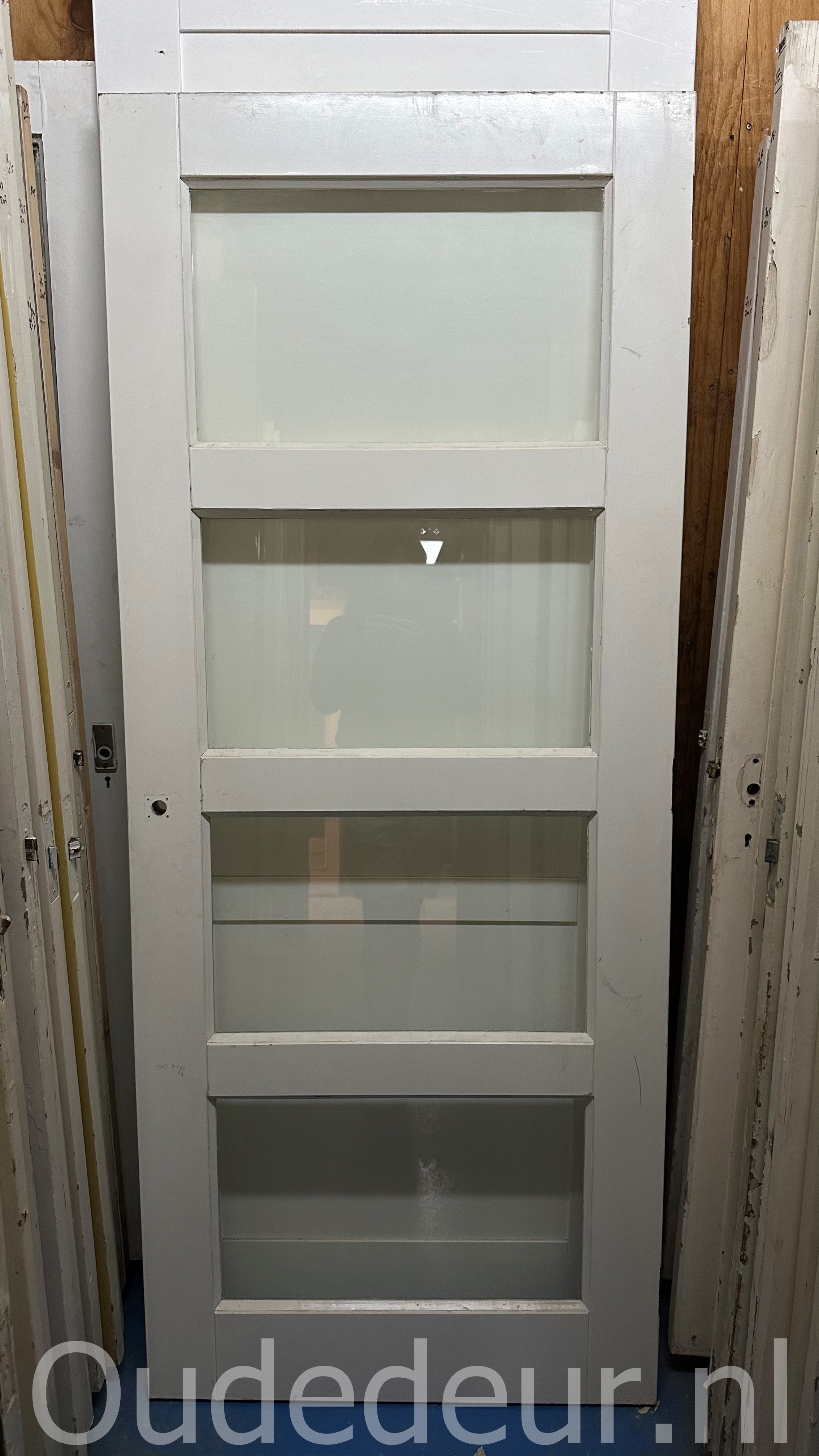 nr. 2769 moderne glasdeur