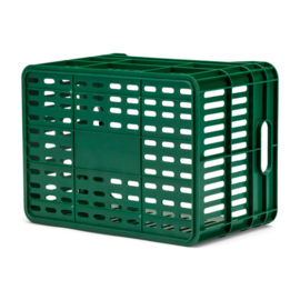 Fietskrat UrbanProof Junior groen