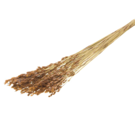 Thatch riet naturel 15st