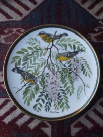 Franklin goldfinch songbirds borden