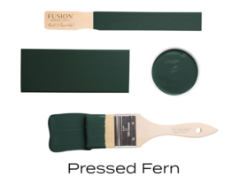 Fusion Mineral Paint Pressed Fern