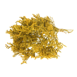 Tartaricum yellow