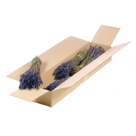 Lavendel