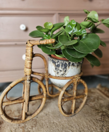 Vintage rotan fiets plantstandaard