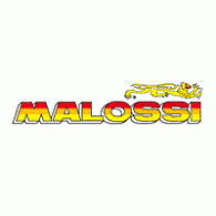CILINDER MALOSSI 45,5 MM