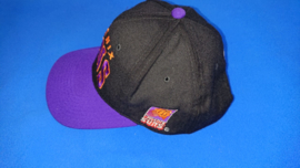 VINTAGE 90S STARTER ARCH PET ( LICHT GEBRUIKT ) PHOENIX SUNS